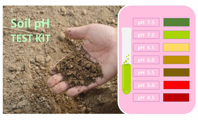 soil test kit 142814 475